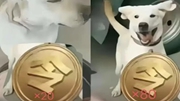 迪馬：科莫將簽?zāi)都永_雷300萬+獎金換取提前結(jié)束租借